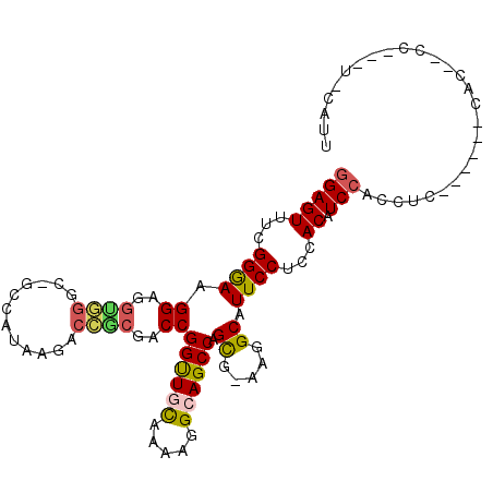 secondary structure