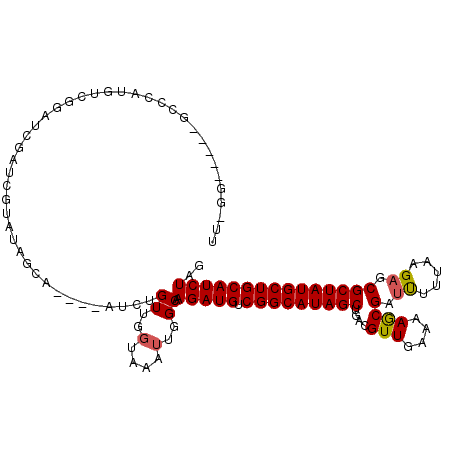secondary structure