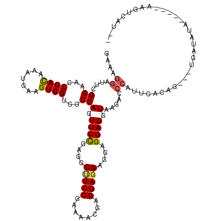 secondary structure