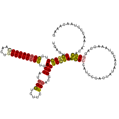 secondary structure