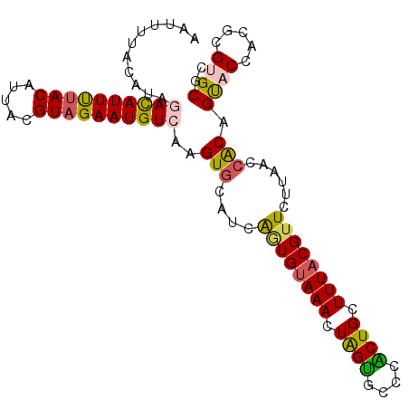 secondary structure