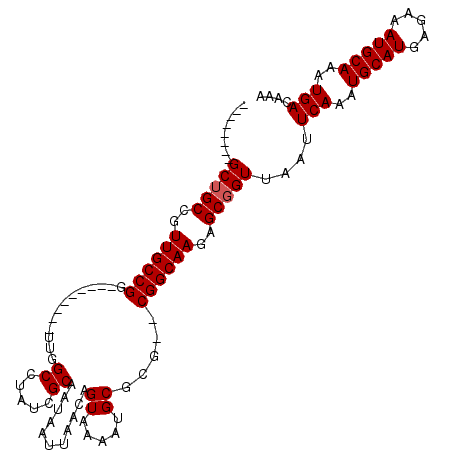 secondary structure