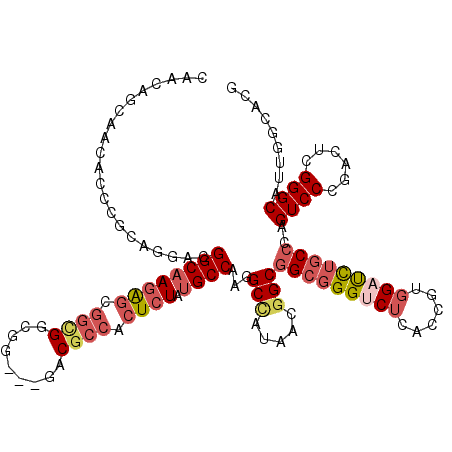 secondary structure