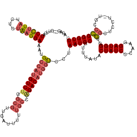 secondary structure