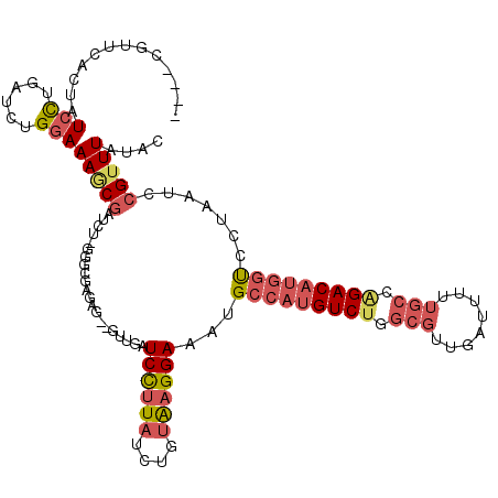 secondary structure