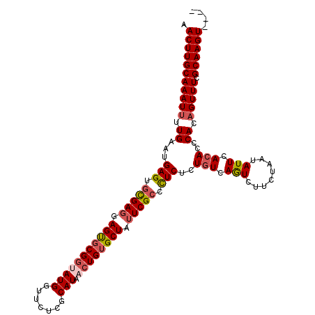 secondary structure