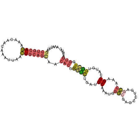 secondary structure