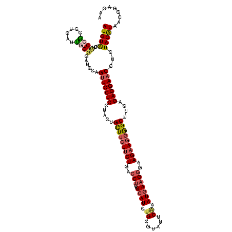 secondary structure