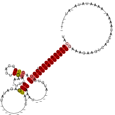 secondary structure