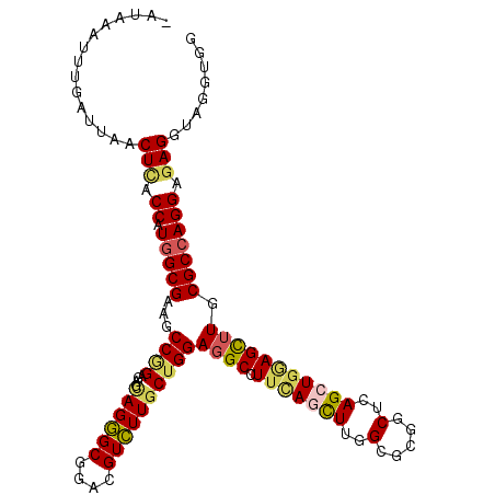 secondary structure