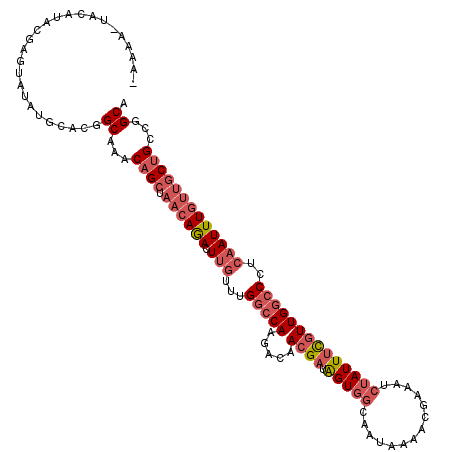 secondary structure