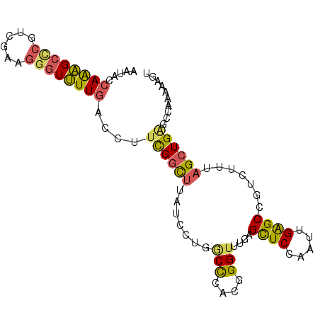 secondary structure
