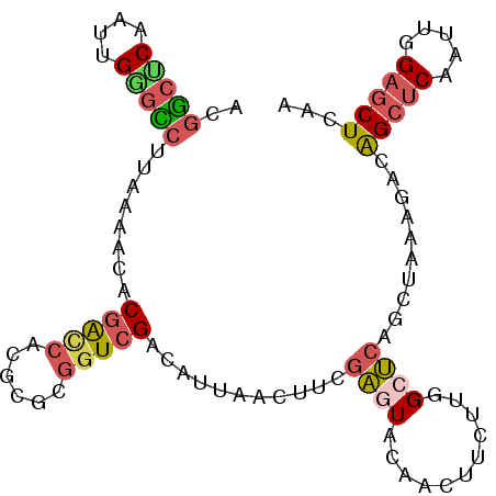 secondary structure
