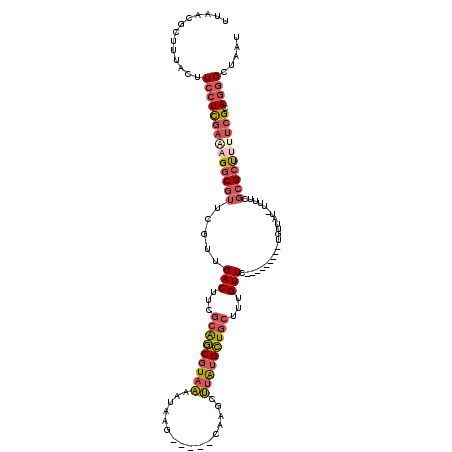 secondary structure
