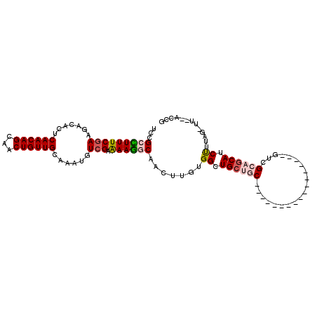 secondary structure