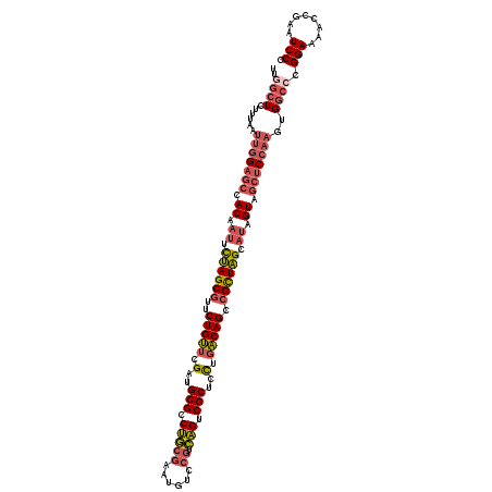 secondary structure