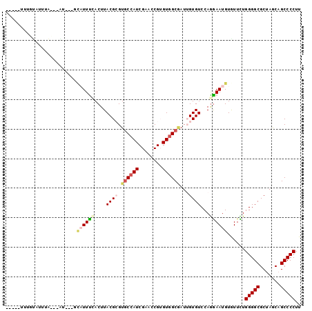 dotplot