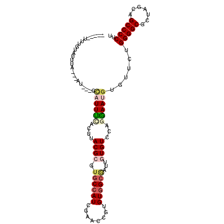 secondary structure