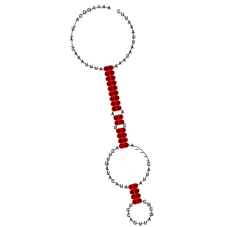 secondary structure
