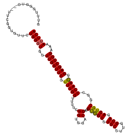 secondary structure