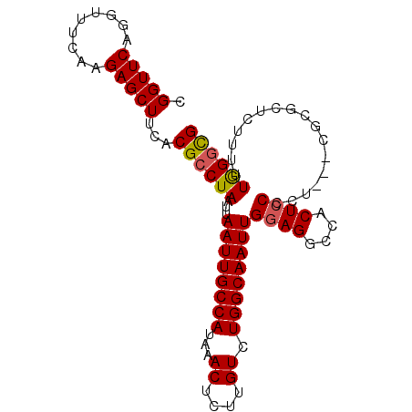 secondary structure