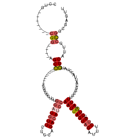 secondary structure