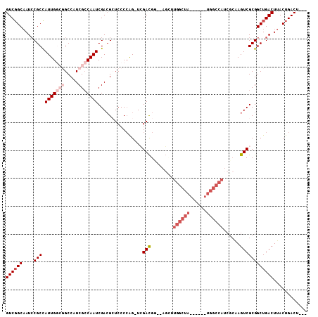 dotplot