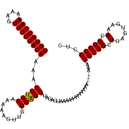 secondary structure