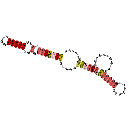 secondary structure