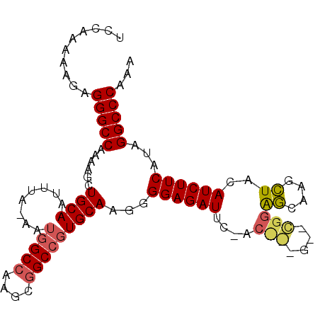 secondary structure