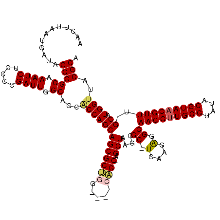 secondary structure