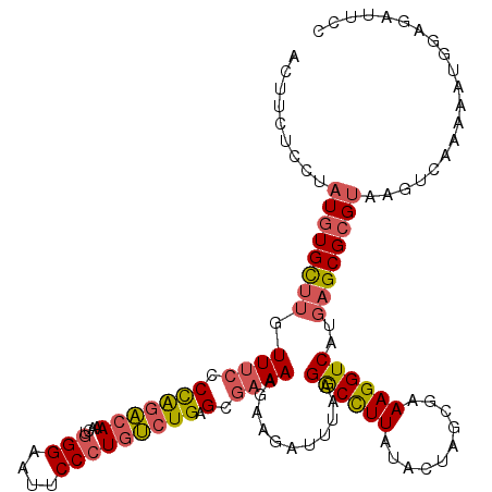 secondary structure