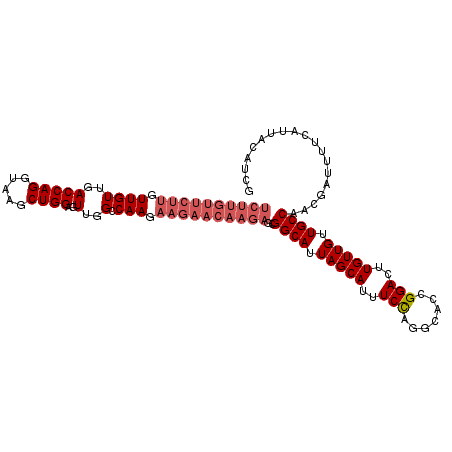 secondary structure