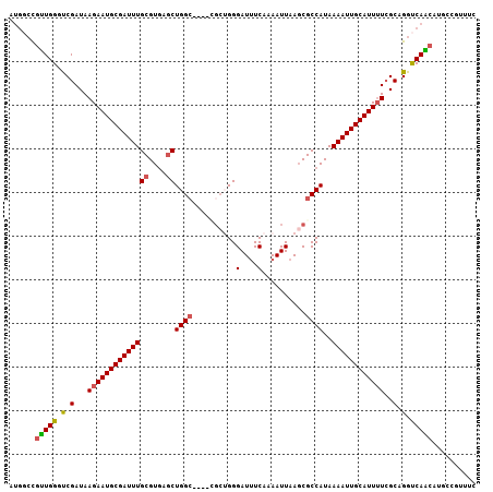 dotplot