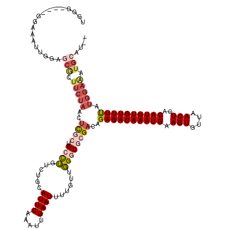 secondary structure