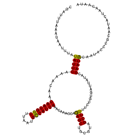 secondary structure