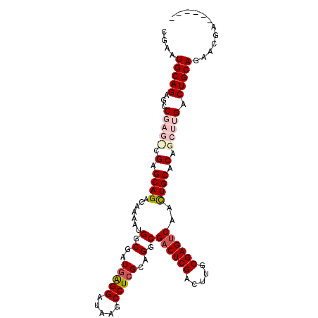 secondary structure