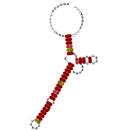 secondary structure