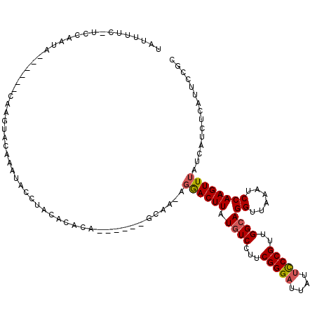 secondary structure
