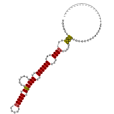 secondary structure