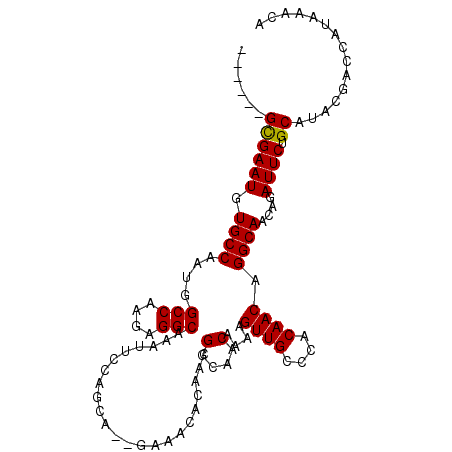 secondary structure