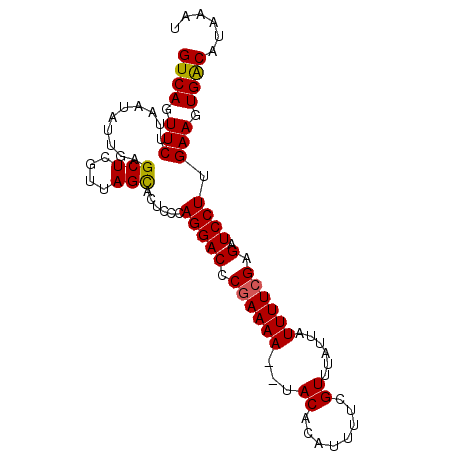 secondary structure