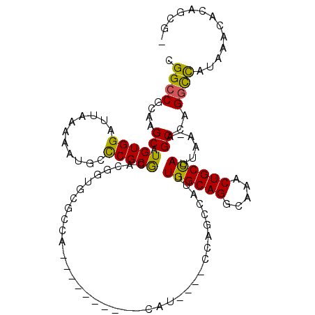 secondary structure