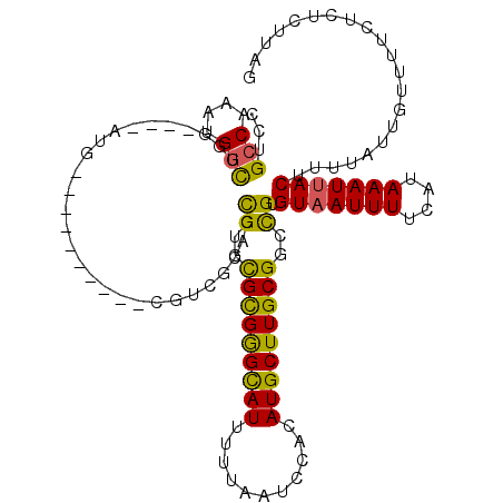 secondary structure