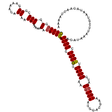 secondary structure