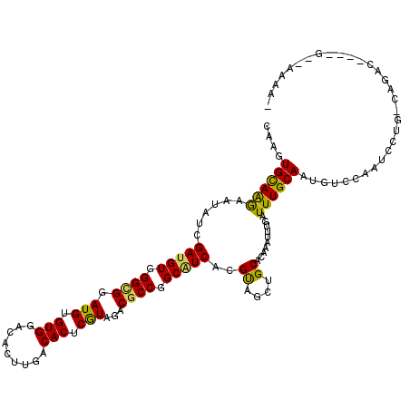 secondary structure
