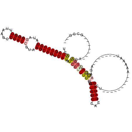 secondary structure