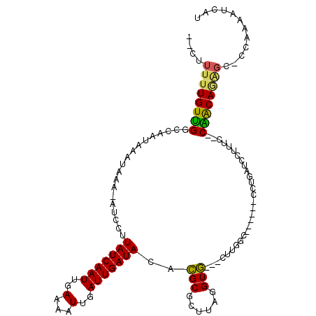 secondary structure