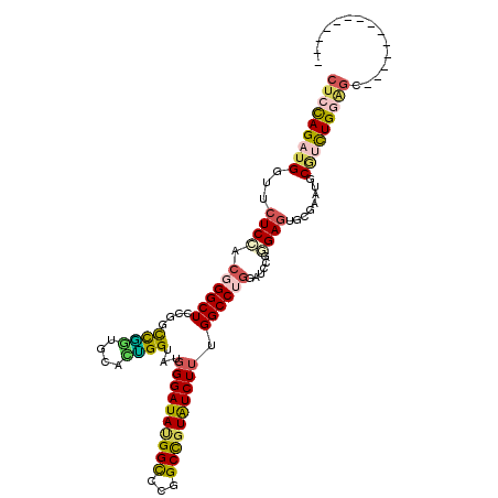 secondary structure