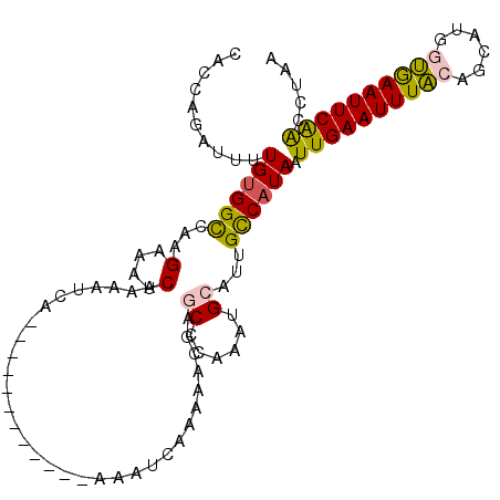secondary structure